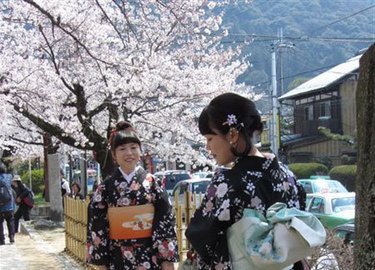 Philosopher's Walk, Kyoto